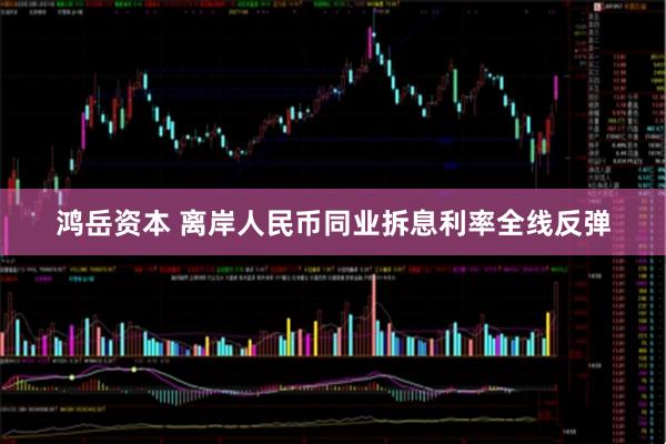 鸿岳资本 离岸人民币同业拆息利率全线反弹