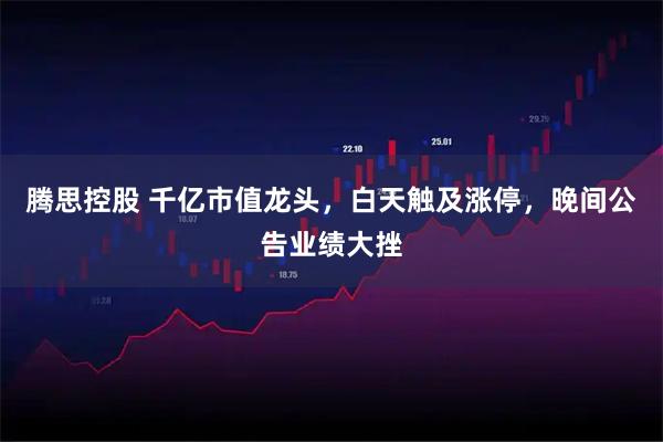 腾思控股 千亿市值龙头，白天触及涨停，晚间公告业绩大挫